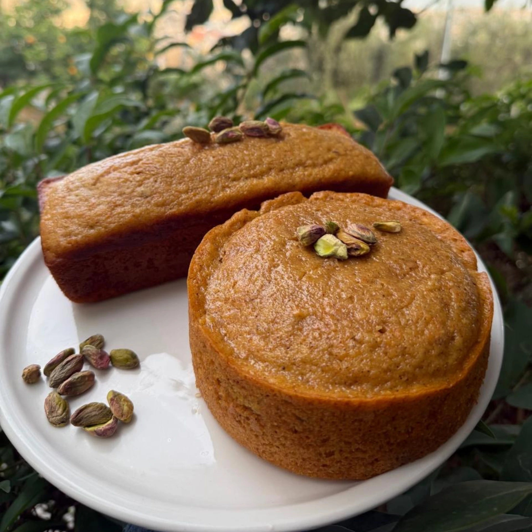 Carrot Cake