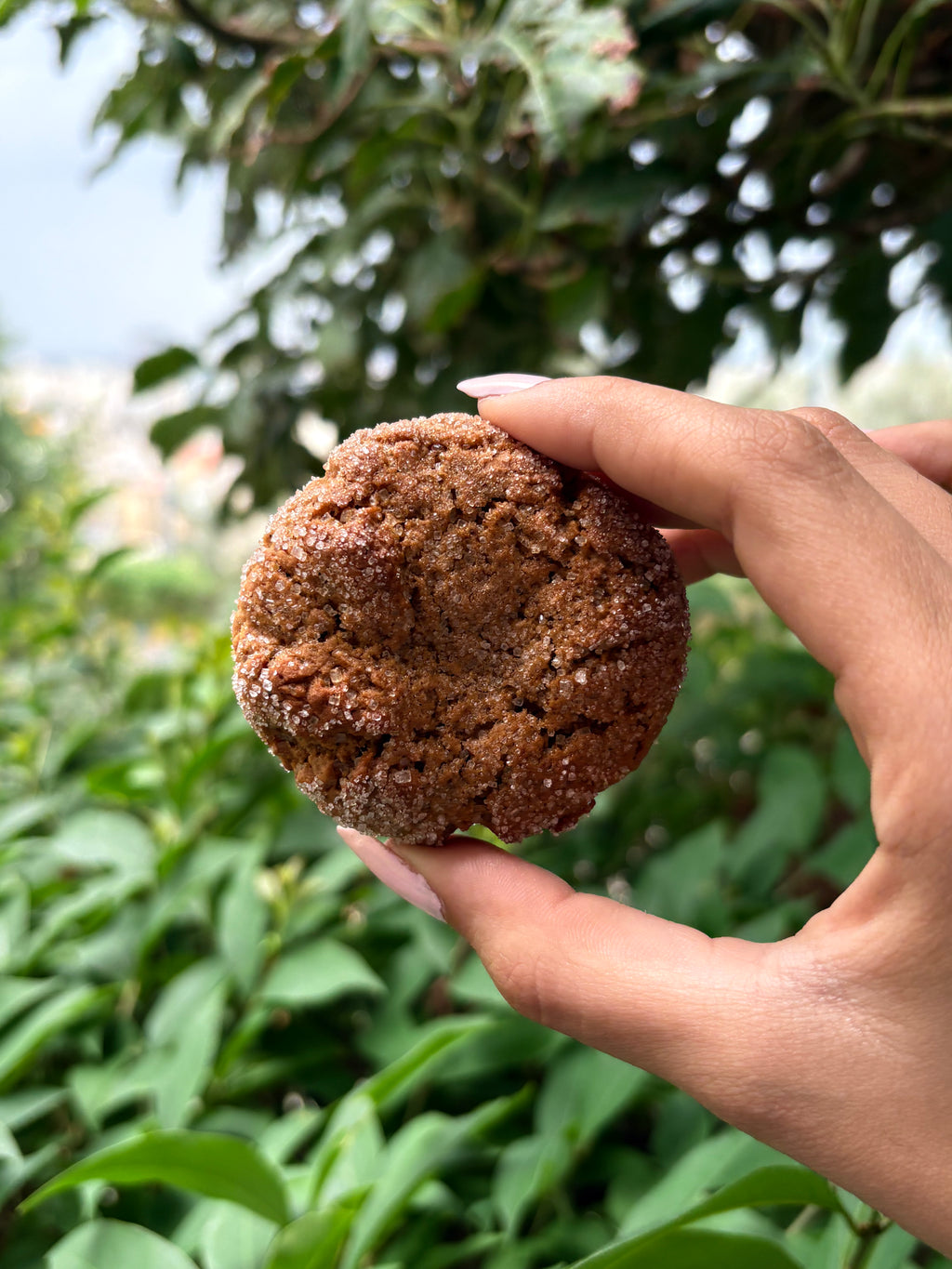 Ginger Cookie - 4 pcs